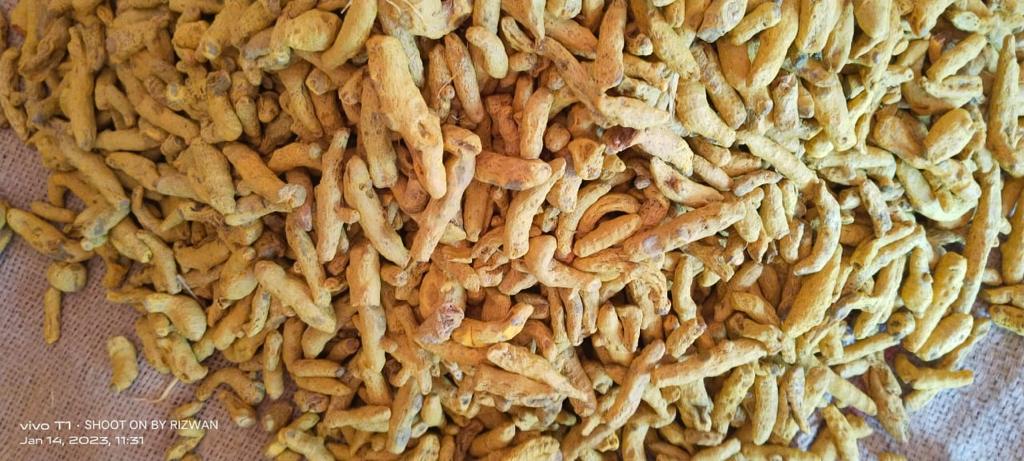 Haldi