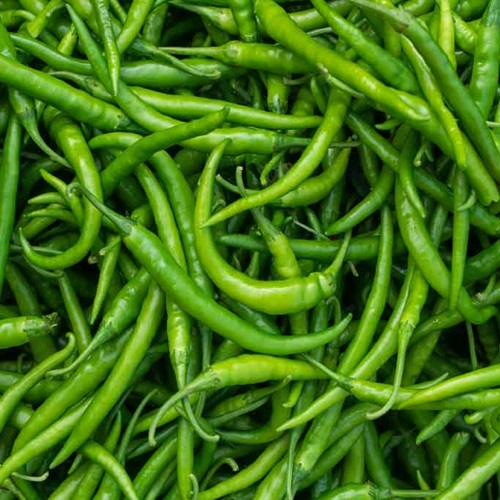 Green Chillies